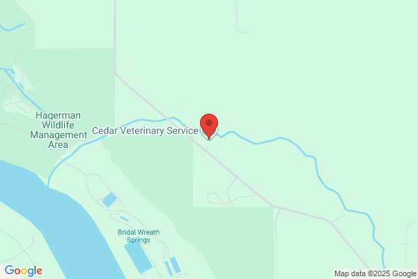 Mensinger Paul Cedar Vet Services