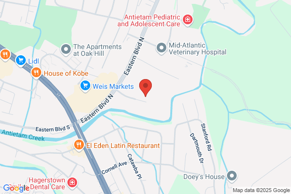Plastic Surgery Services
