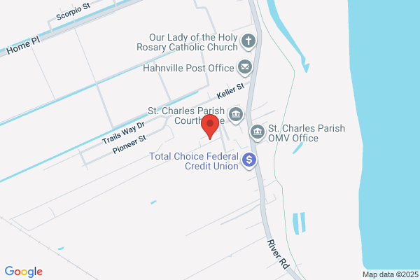 True Vines Baptist Church