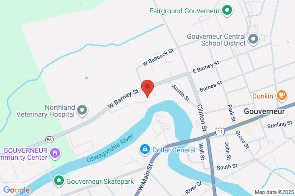 Gouverneur Hospital