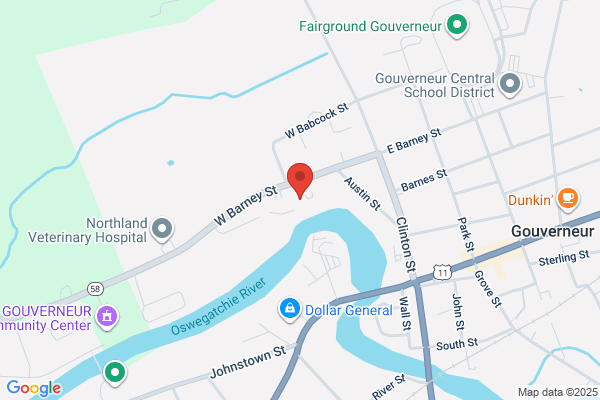 Gouverneur Hospital Emergency Room