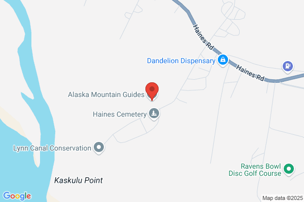 Alaska Mountain Guides