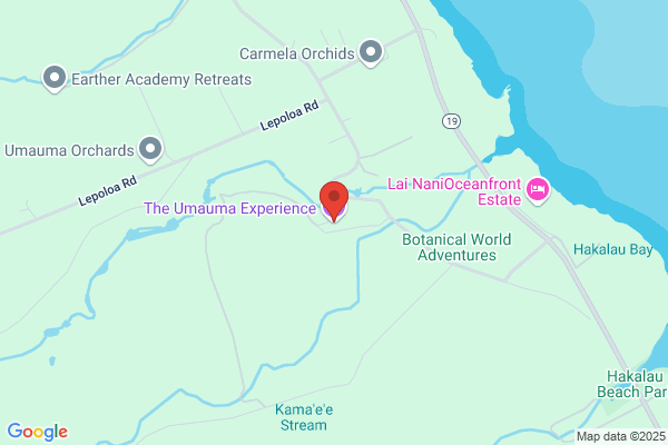 Umauma Falls Zipline & Rappel Experience