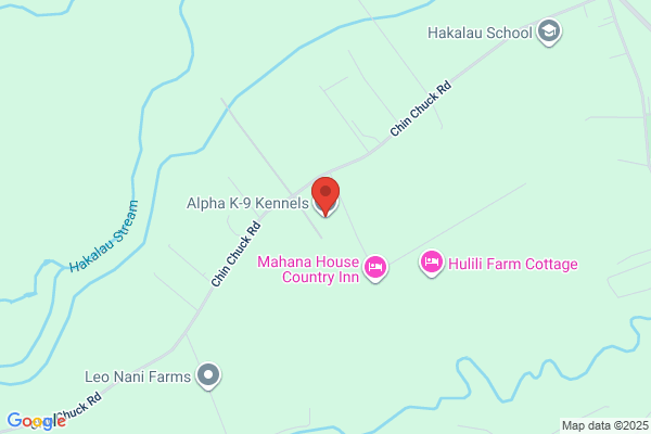 Alpha K-9 Kennels