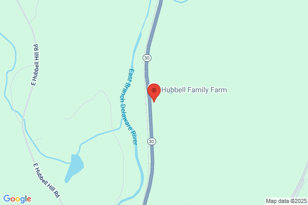 Catskill Rentals
