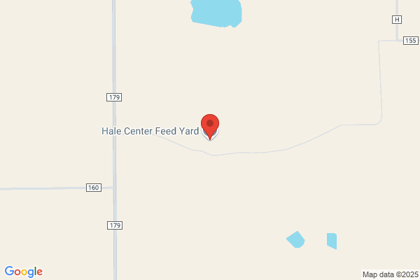 Hale Center Feed Yard