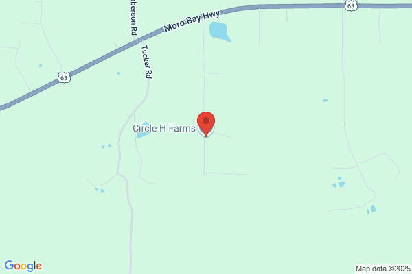 Circle H Farms