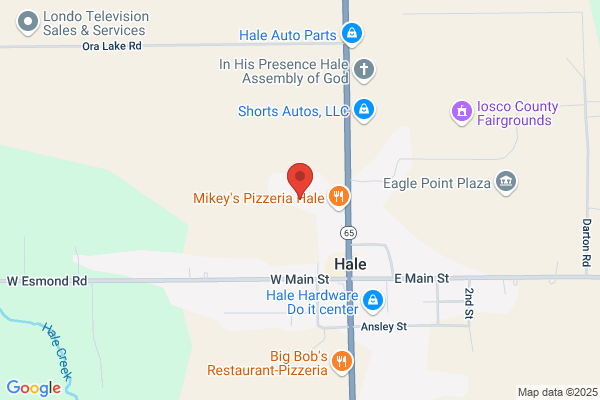 Hale Area Schools, High School