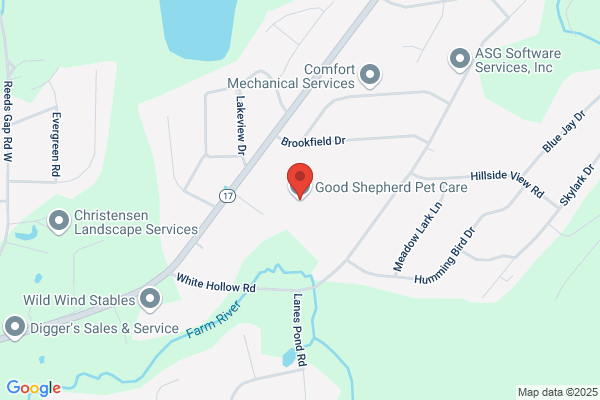Good Shepherd Pet Sitting Services