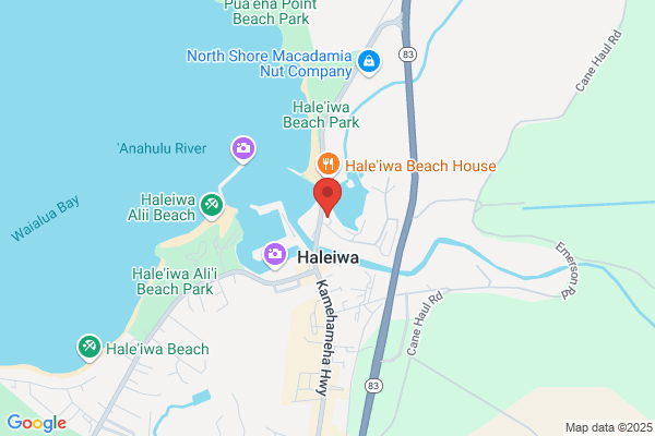 Hawaii Life Real Estate Brokers