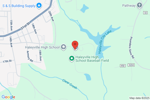 Haleyville Special Education