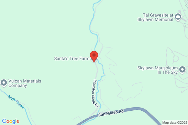 Santa's Tree Farm