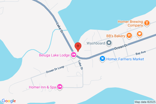 Alaska Real Estate In Homer