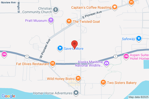 Homer Vacation Homes