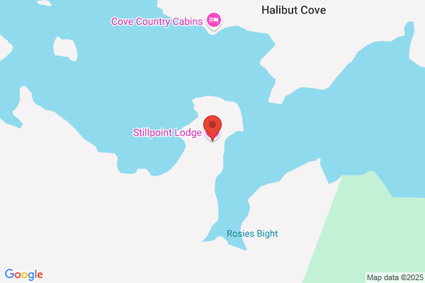 Stillpoint Lodge