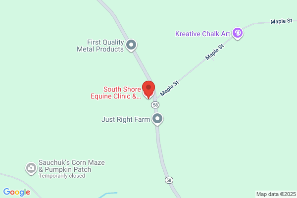 South Shore Equine Clinic