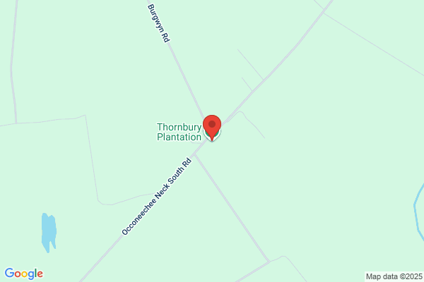 Thornbury Plantation