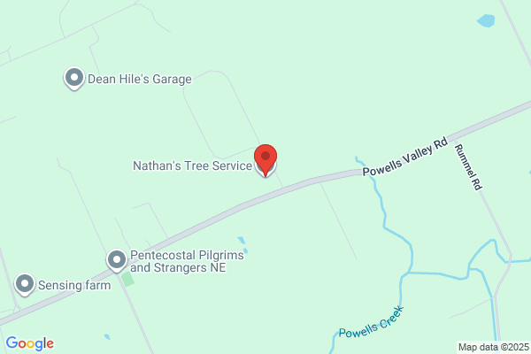 Harner C Tree Service