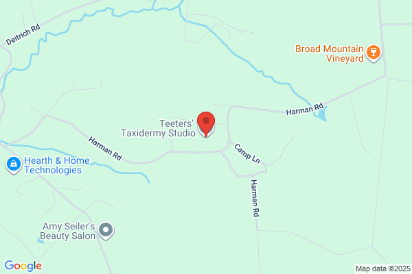 Ketner Taxidermy