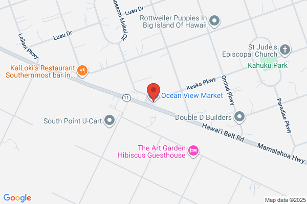 Oceanview Market