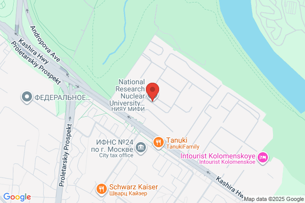 Nujevi-institute