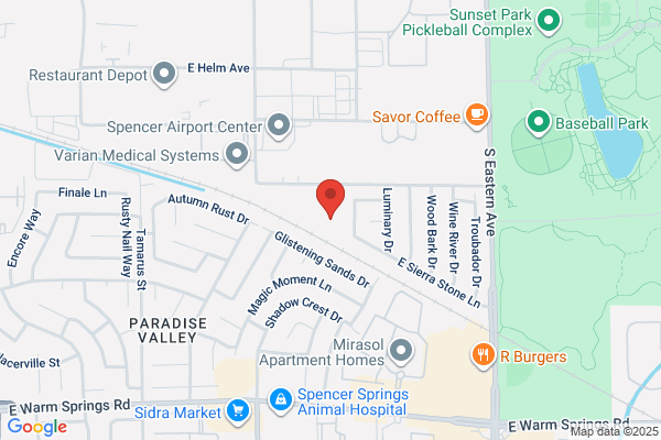 American Gaming and Electronics Inc