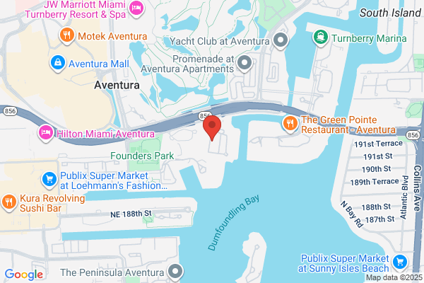 Advance Security Inc