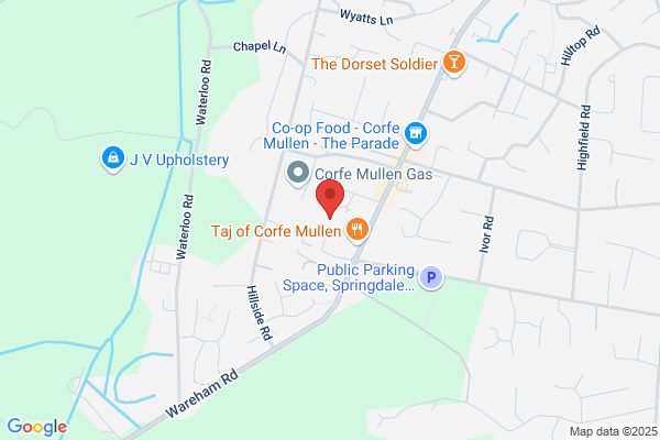 Dolphin Dental Care
