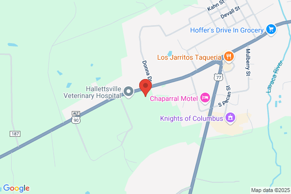 Hallettsville Rehabilitation Center and Nursing Center