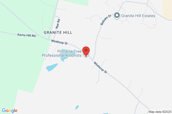 Pinnacle Tree Professional Arborist