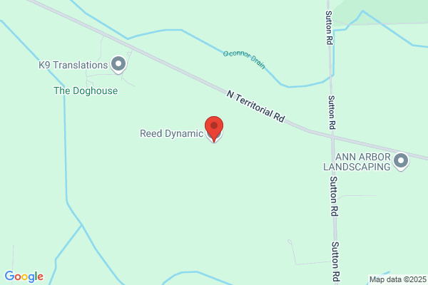 Reed Dynamic