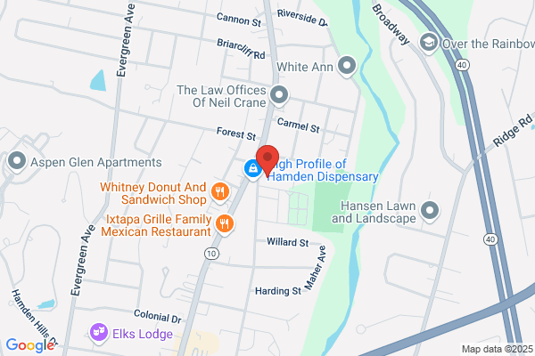 New Haven Dental Group