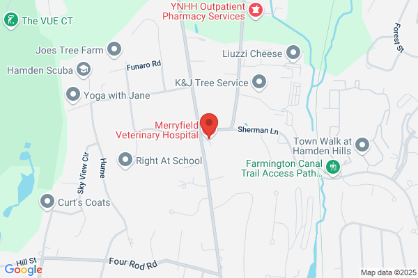 Merryfield Veterinary Hospital