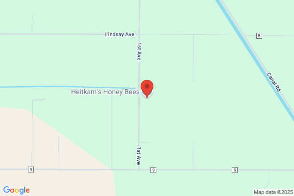 Heitkam's Honey Bees