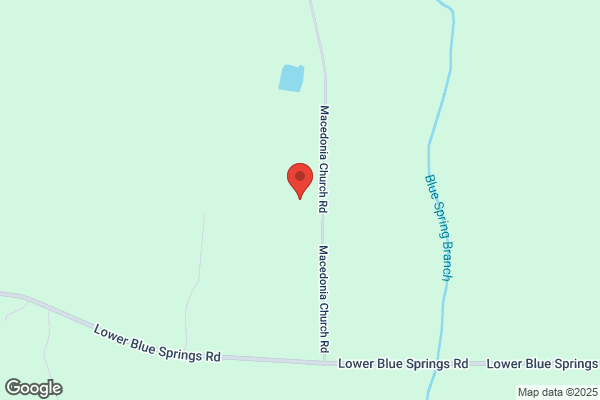 Fortson Tree Company