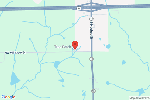 Tree Patch