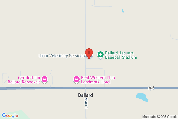 Basin Veterinary Service