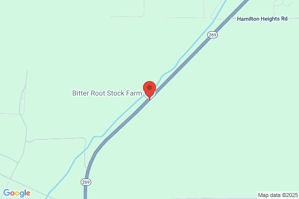 Bitter Root Stock Farm
