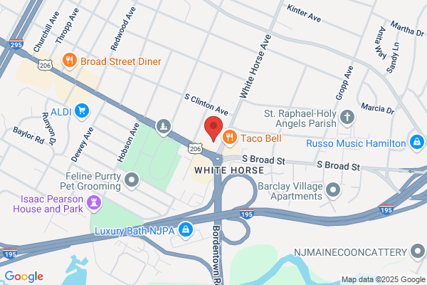 Advance Auto Parts