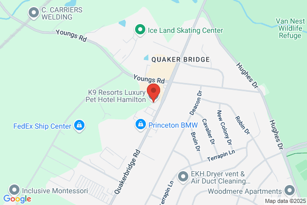 K9 Resorts Luxury Pet Hotel Hamilton