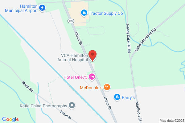 VCA Hamilton Animal Hospital