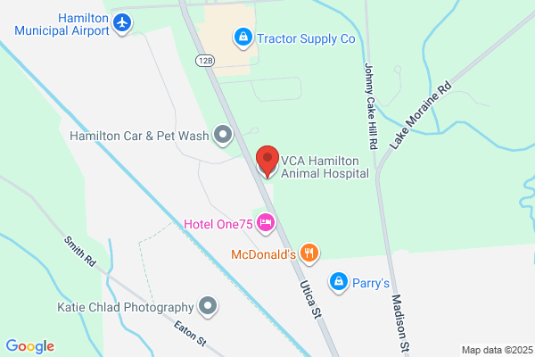 Hamilton Animal Hospital