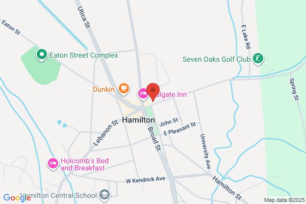 Hamilton Initiative Llc