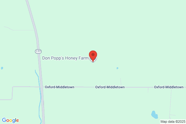 Honey Dippin Septic