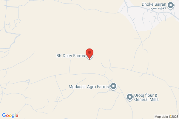 B & K Dairy