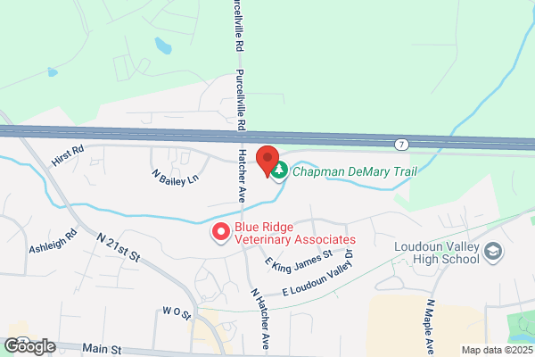 Blue Ridge Chiropractic