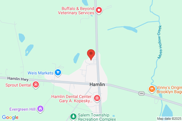 Hamlin Assembly of God Church