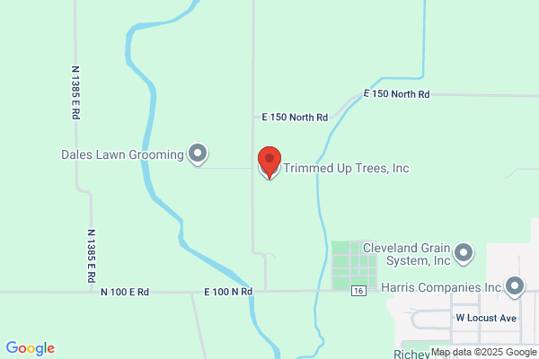 Trimmed Up Trees