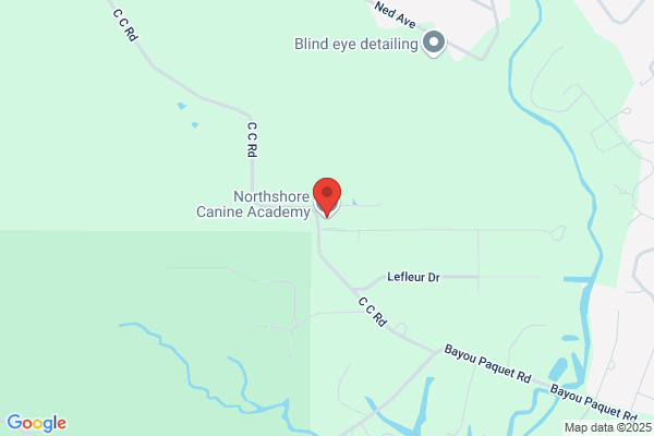Top Dog Training Academy NORTHSHORE