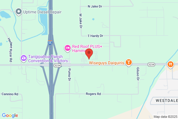 Sonic Drive-In